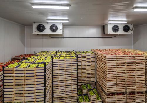 cold storage cold storage